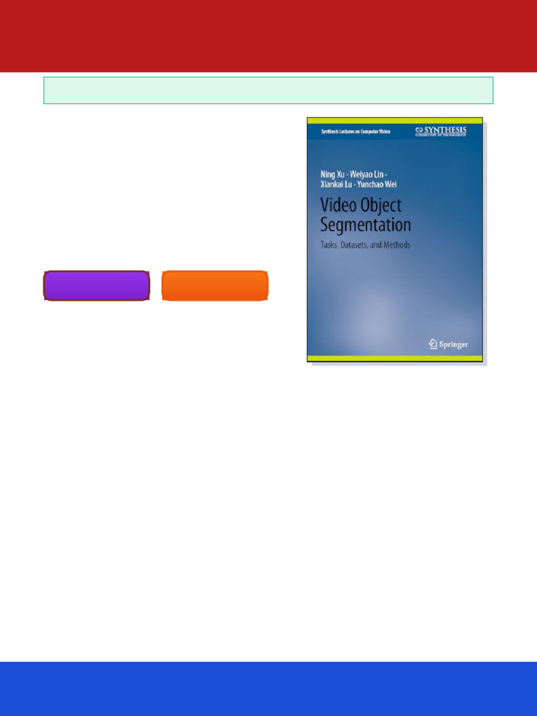 Video Object Segmentation: Tasks, Datasets, and Methods 1st Edition ...