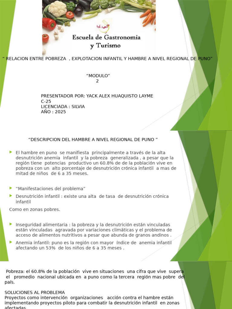 Pobreza y Desnutrición Infantil en Puno | PDF | Desnutrición | Agricultura