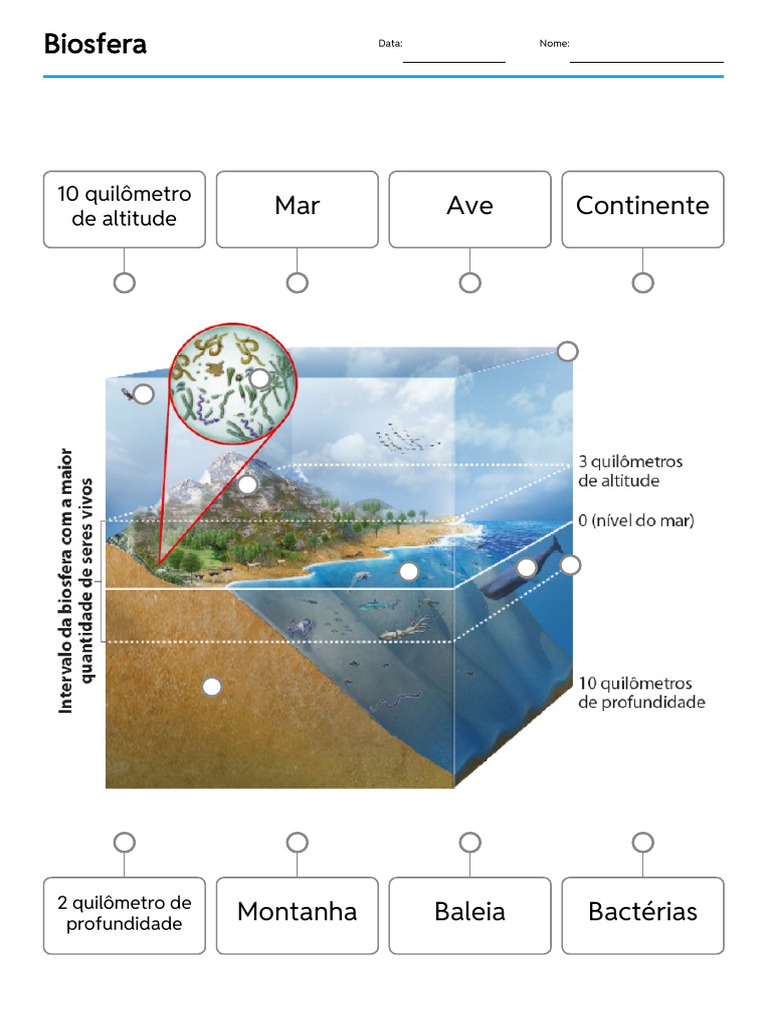 Estrutura da Biosfera: Altitude e Profundidade | PDF