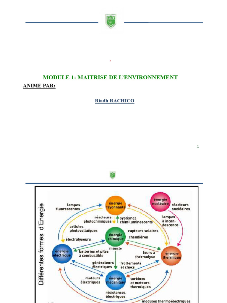 Maîtrise de l'environnement et pollution | PDF | la pollution ...