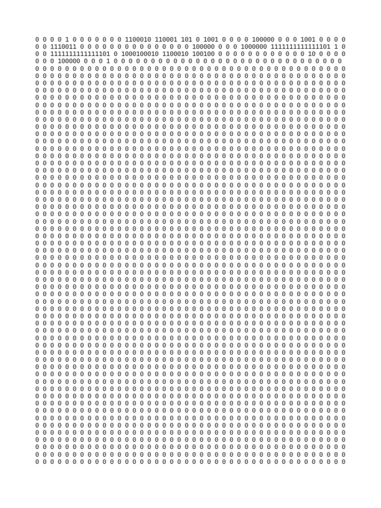 Binary Data Representation Analysis | PDF