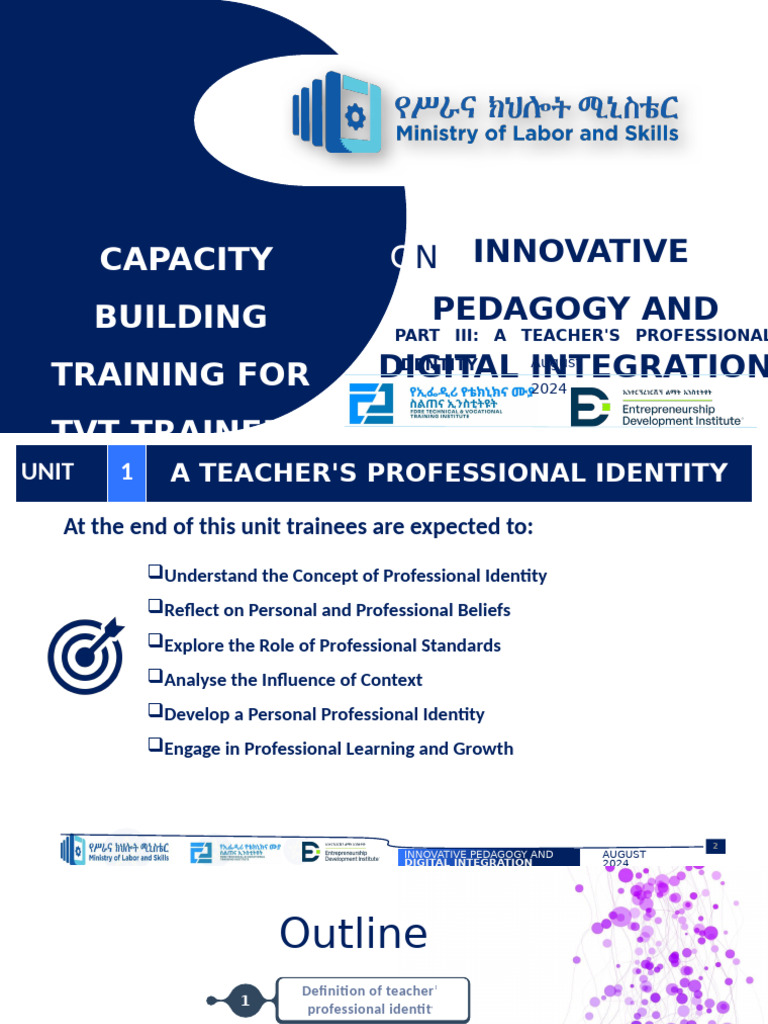 Teacher Professional Identity Training | PDF | Pedagogy | Teachers