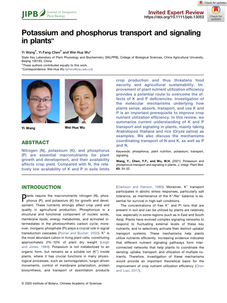 JIPB - 2020 - Wang - Potassium and Phosphorus Transport and Signaling ...