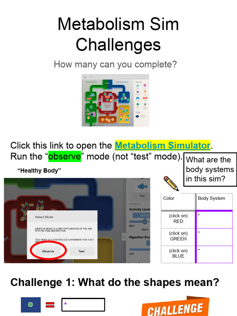 Day 24 Metabolism Sim Challenges Student | PDF | Digestion ...