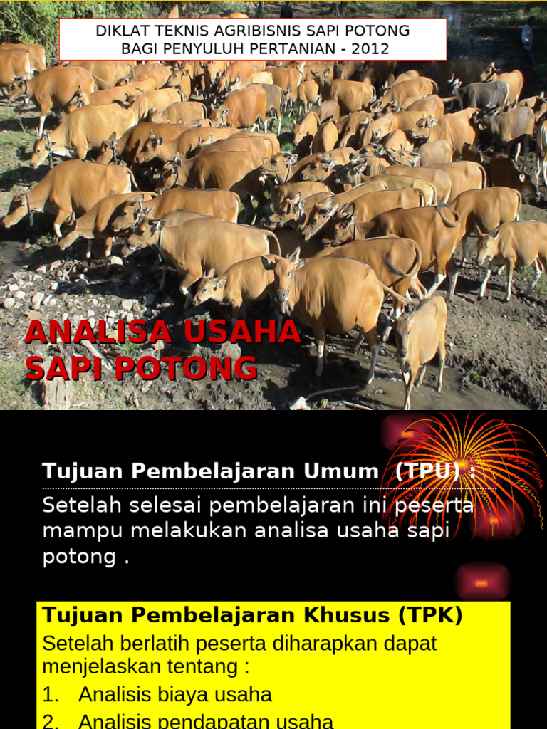 Analisa Usaha Ternak Sapi Potong | PDF