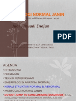 FKUI OBGIN USG OB Induksi, Morfologi Normal Janin, JJE 20120529