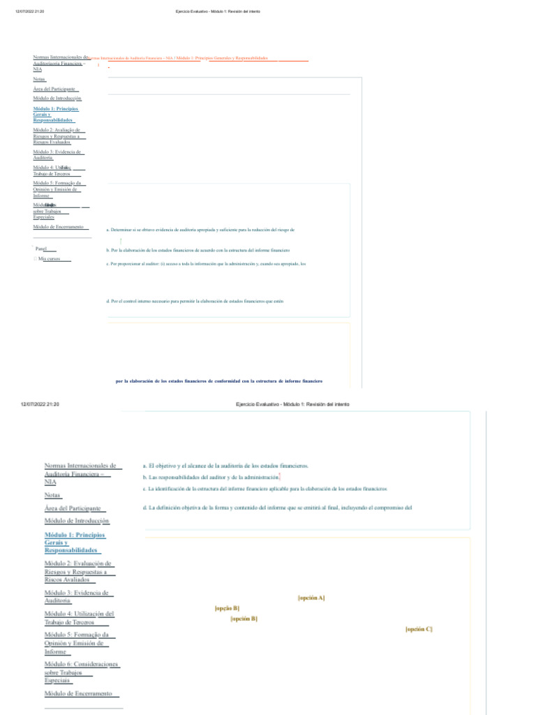 Normas Internacionales de Auditoría NIA | PDF | Auditoría | Contralor