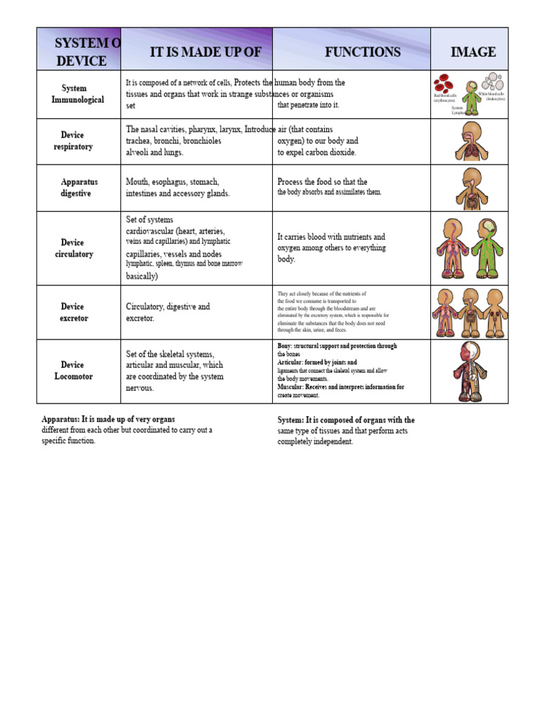 comparative chart systems and devices.pdf | PDF | Human Body ...