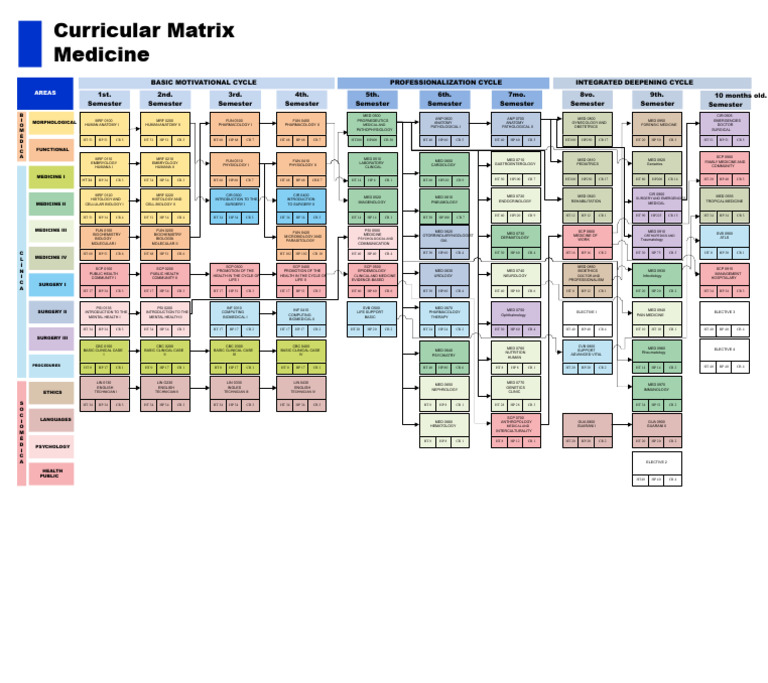 15 Medicine Curriculum Grid | PDF | Medicine | Medical Specialties