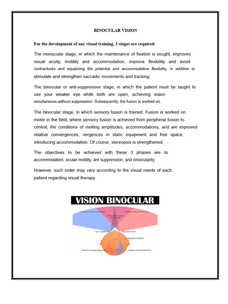 Binocular Vision | PDF | Visual Perception | Senses