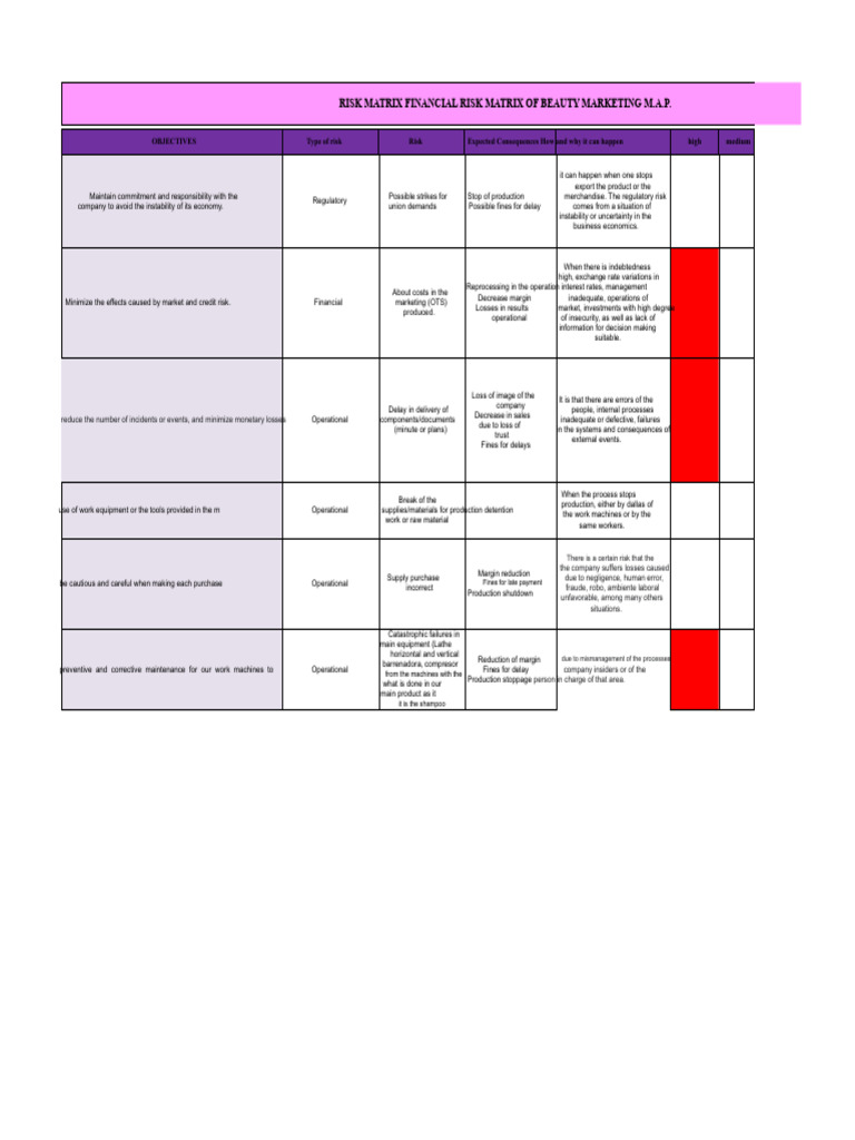 Financial Risk Matrix for Beauty Marketing | PDF | Risk | Market ...