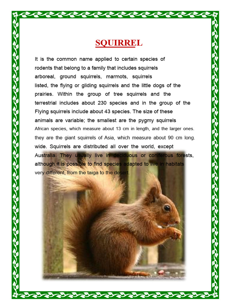 Squirrel Species: Types and Characteristics | PDF | Squirrel | Rodent