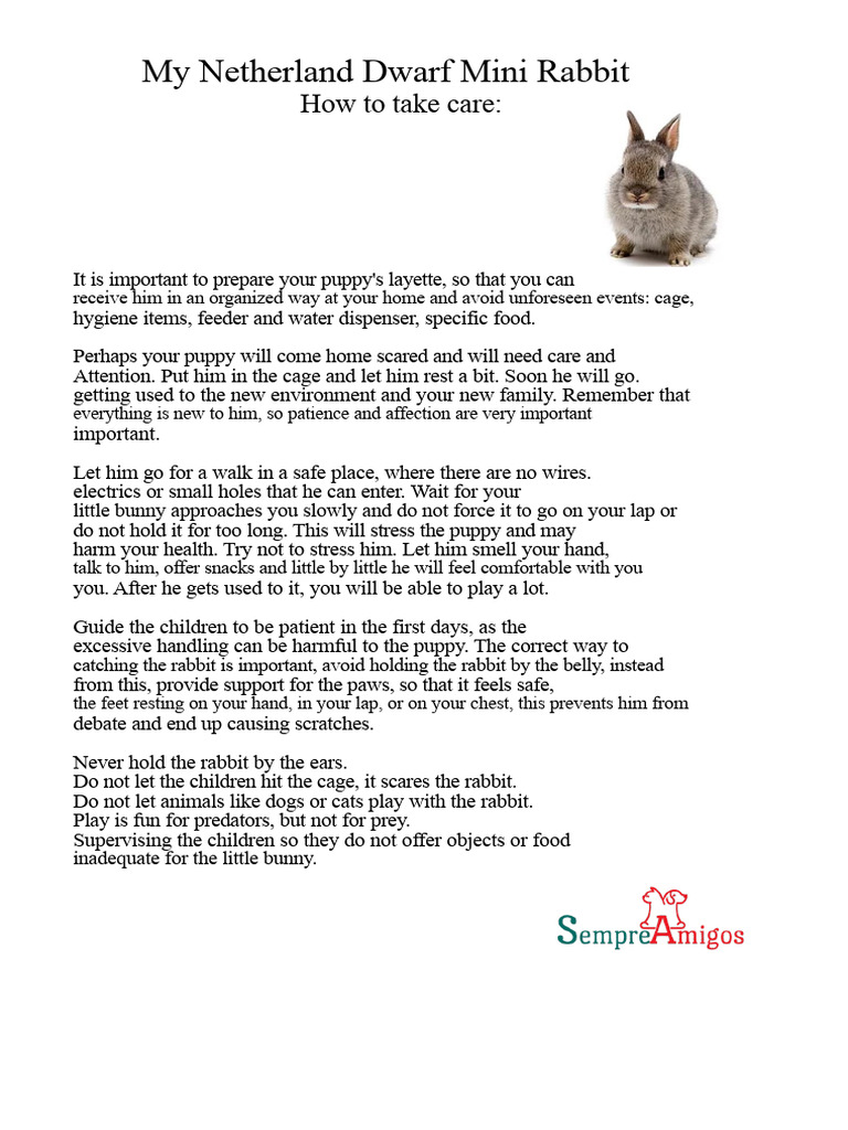 Caring for Your Netherland Dwarf Rabbit | PDF | Rabbit | Foods