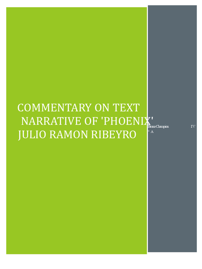 COMMENTARY ON NARRATIVE TEXT Phoenix | PDF | Self Esteem | Narrative