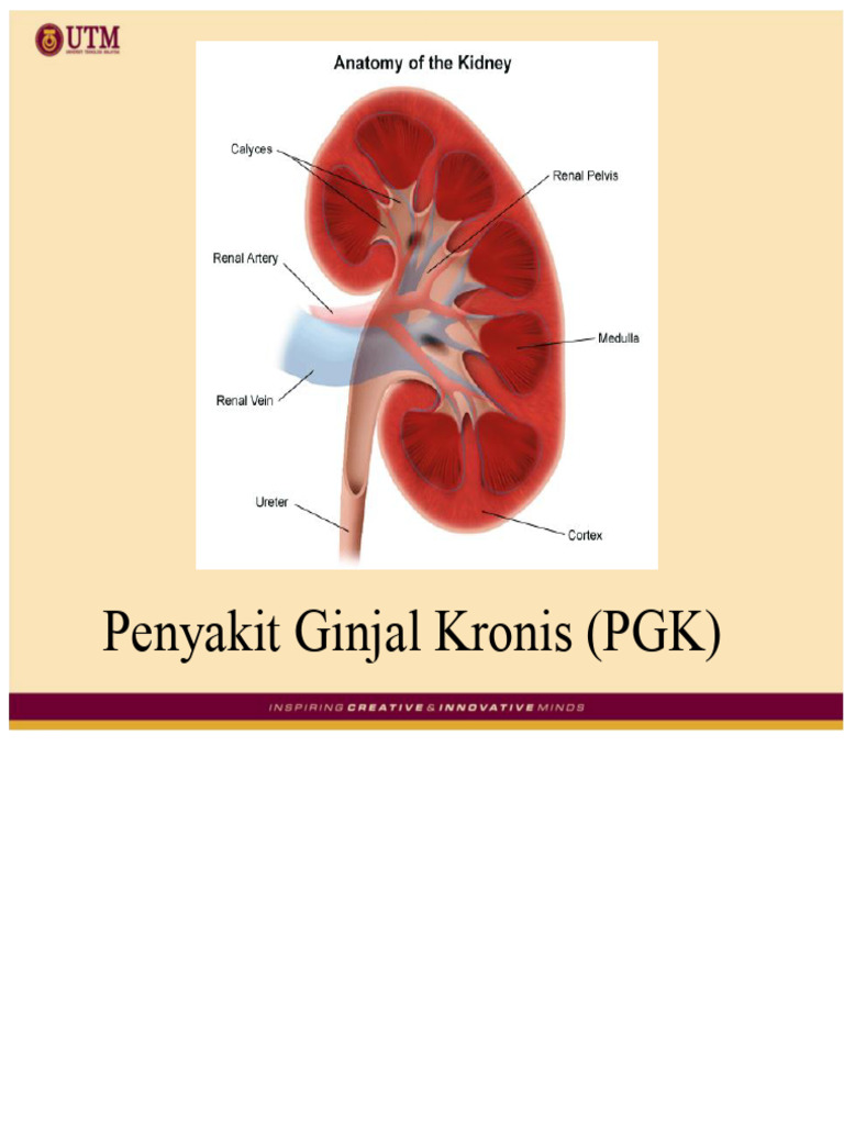 Panduan Lengkap Penyakit Ginjal Kronis | PDF