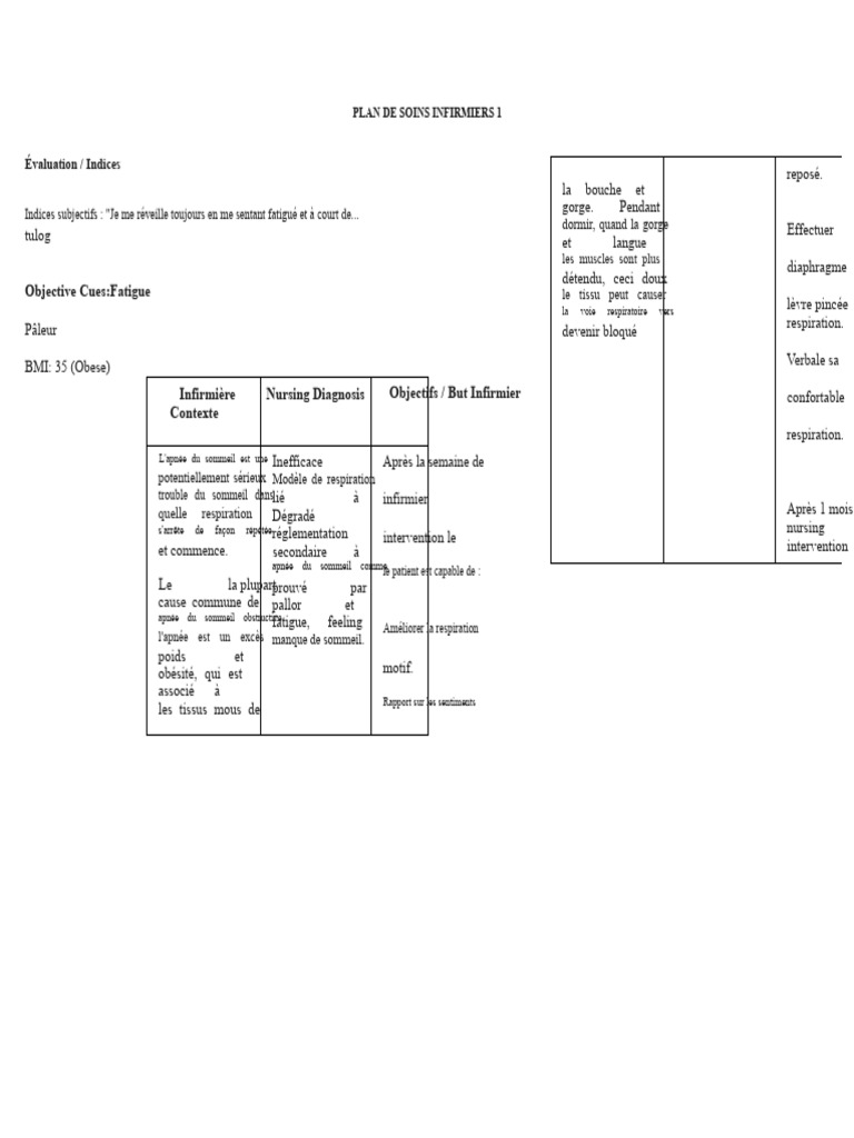 Plan de Soins pour Apnée du Sommeil | PDF | Syndrome d'apnées du ...