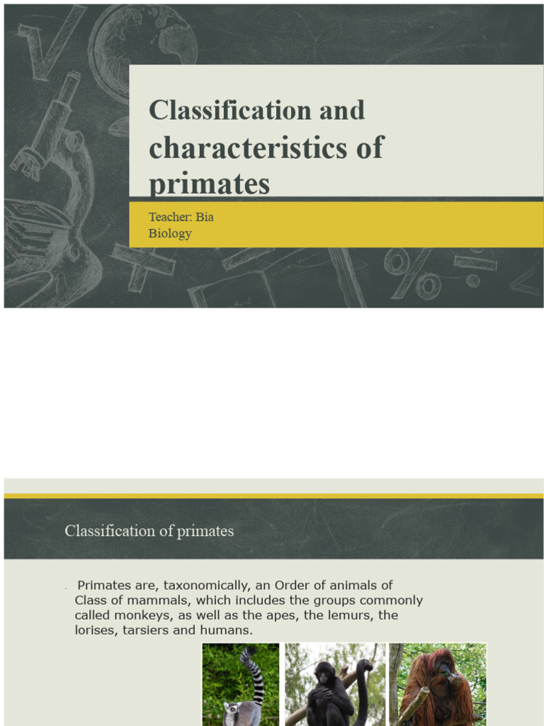 Classification and Characteristics of Primates | PDF | Zoology ...