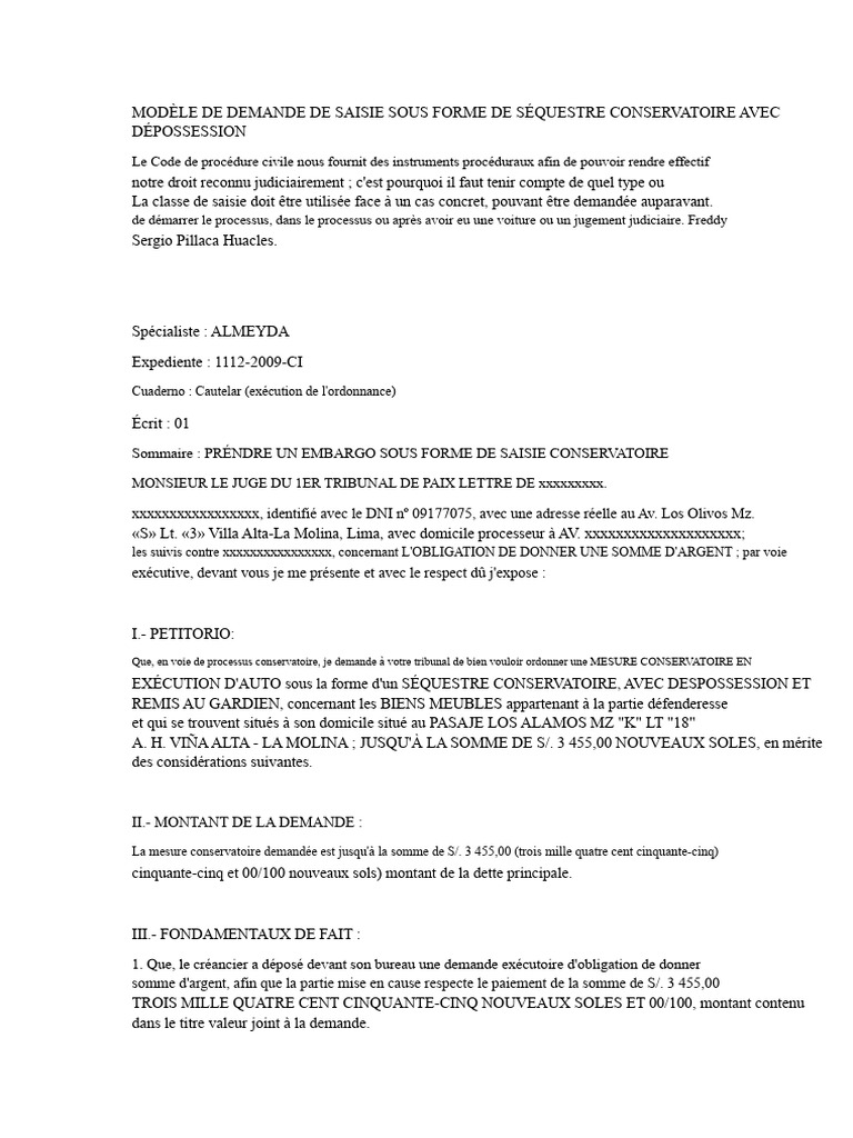 Demande de saisie conservatoire judiciaire | PDF | Débiteur