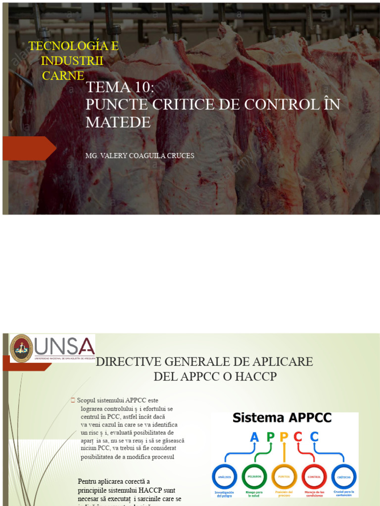 Tema 10. Puncte Critice de Control În Abatoare | PDF