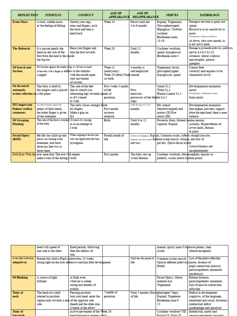 Infant Reflexes and Developmental Milestones | PDF | Hand | Human Anatomy