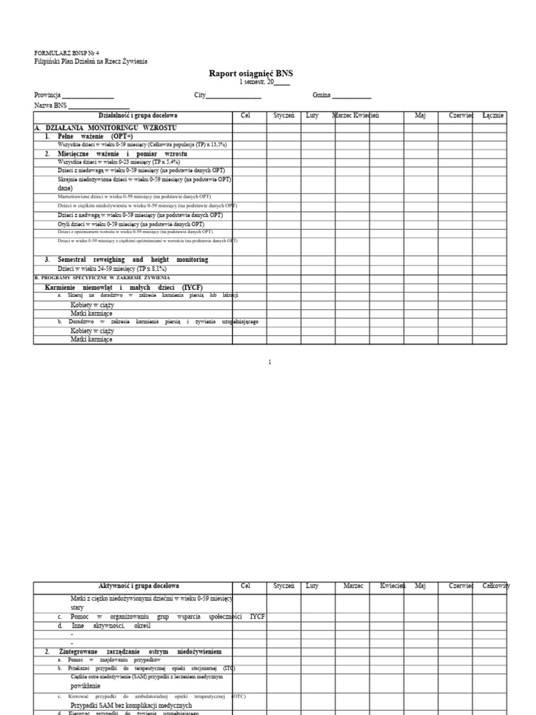 8 Formularz BNS NR 4 OSTATECZNY RSB Mlav BNS Raport o Osiągnięciach ...