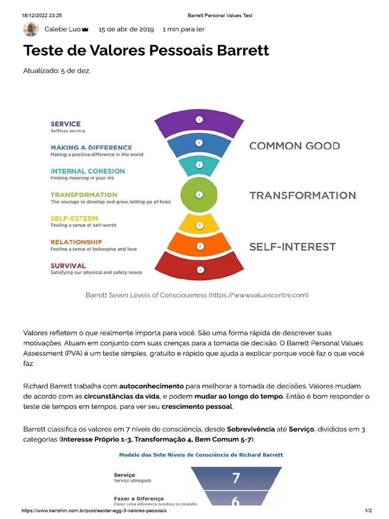 Barrett Personal Values Test Guide | PDF
