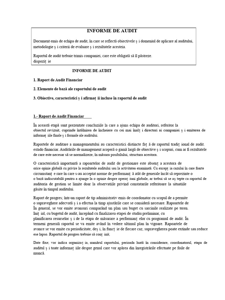 Raport de Audit | PDF
