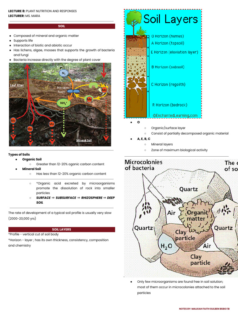 Lecture 8 - Plant Nutrition and Responses | PDF | Soil | Organic Matter