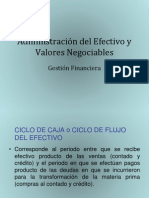 Administración Del Efectivo y Valores Negociables