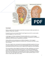 Bases de Acupuntura