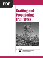 Download Grafting Fruit Trees by Art Del Rosario Salonga SN95623204 doc pdf