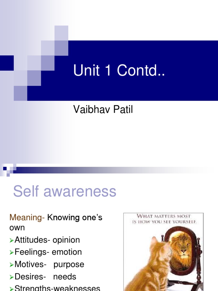 Understanding Self-Awareness and Efficacy | PDF | Self Esteem | Self ...