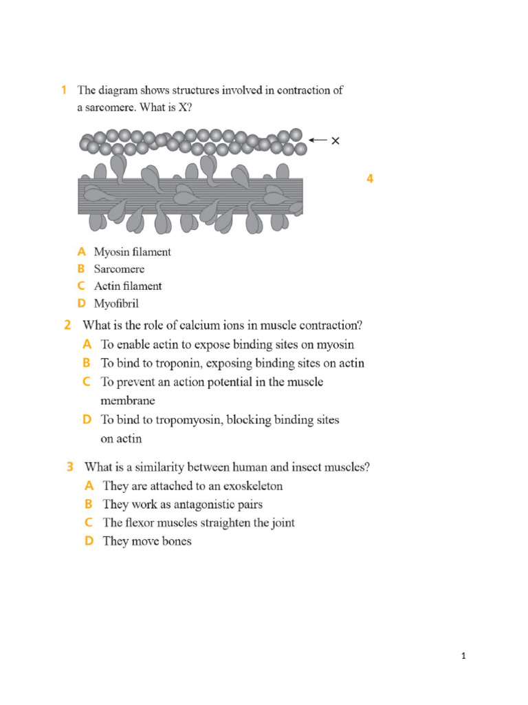 Muscle Contraction and Joint Mechanics | PDF | Muscle Contraction ...