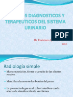 Estudios Diagnosticos y Terapeuticos Del Sistema Urinario 2012