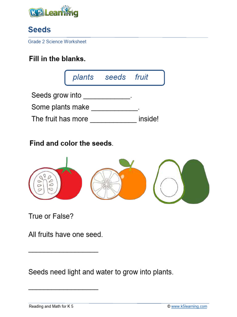 K-5 Seeds Science Worksheet | PDF