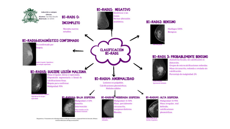Clasificación BI-RADS | PDF | Especialidades Medicas | Enfermedades y ...
