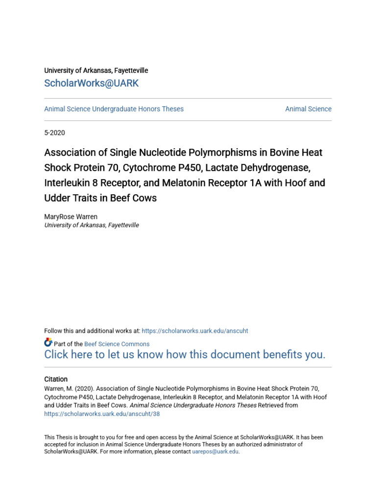 Association of Single Nucleotide Polymorphisms in Bovine Heat Sho | PDF ...