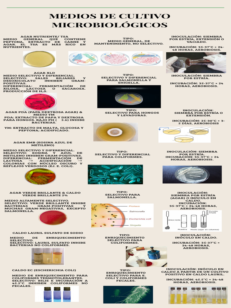 Medios de Cultivo Microbiológicos Esenciales | PDF | Microorganismo ...