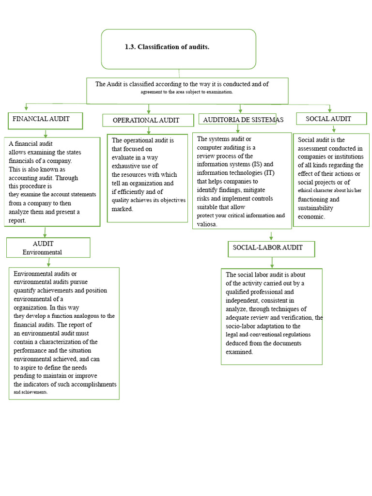 Audit Classification | PDF | Audit | Financial Audit