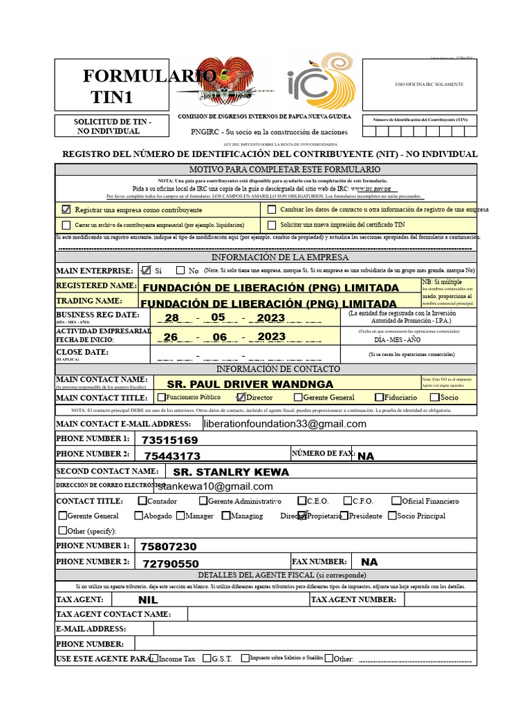 Solicitud de TIN1 - No Individual-TIN | PDF | Minería | Economias