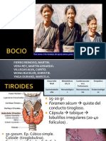 Desarrollo fetal de la tiroides y enfermedades bocigenas