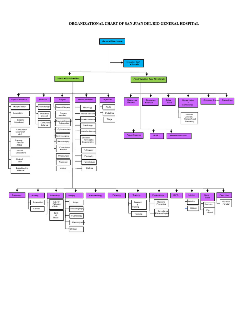 San Juan del Rio Hospital Org Chart | PDF | Medicine | Hospital