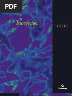 Transfection