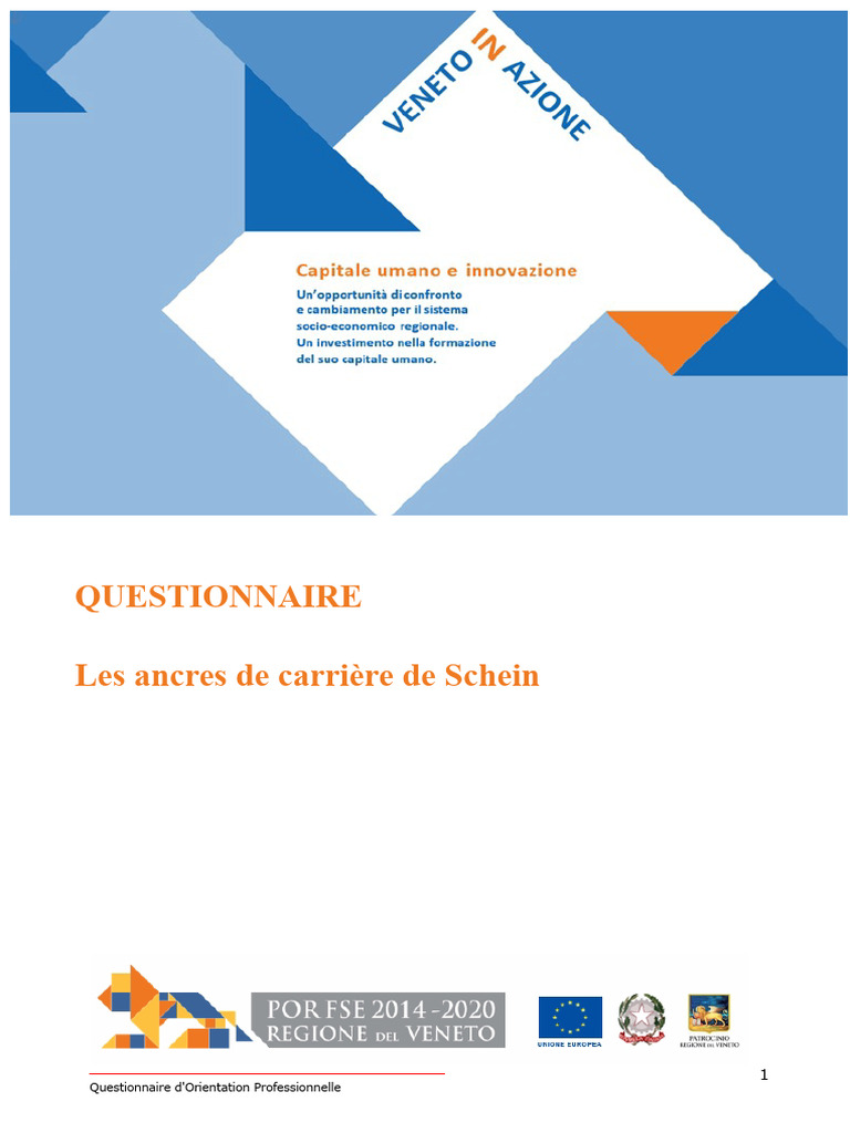 Questionnaire d'Orientation Professionnelle | PDF