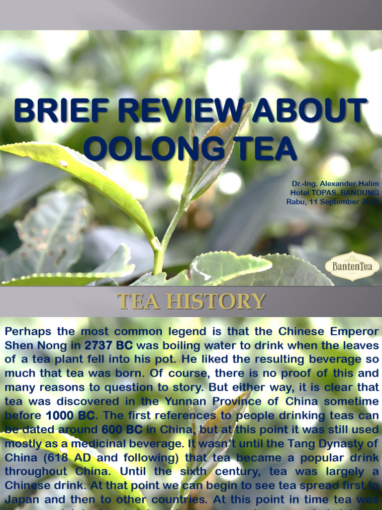Oolong Tea: History and Processing Insights | PDF | Tea | Leaf