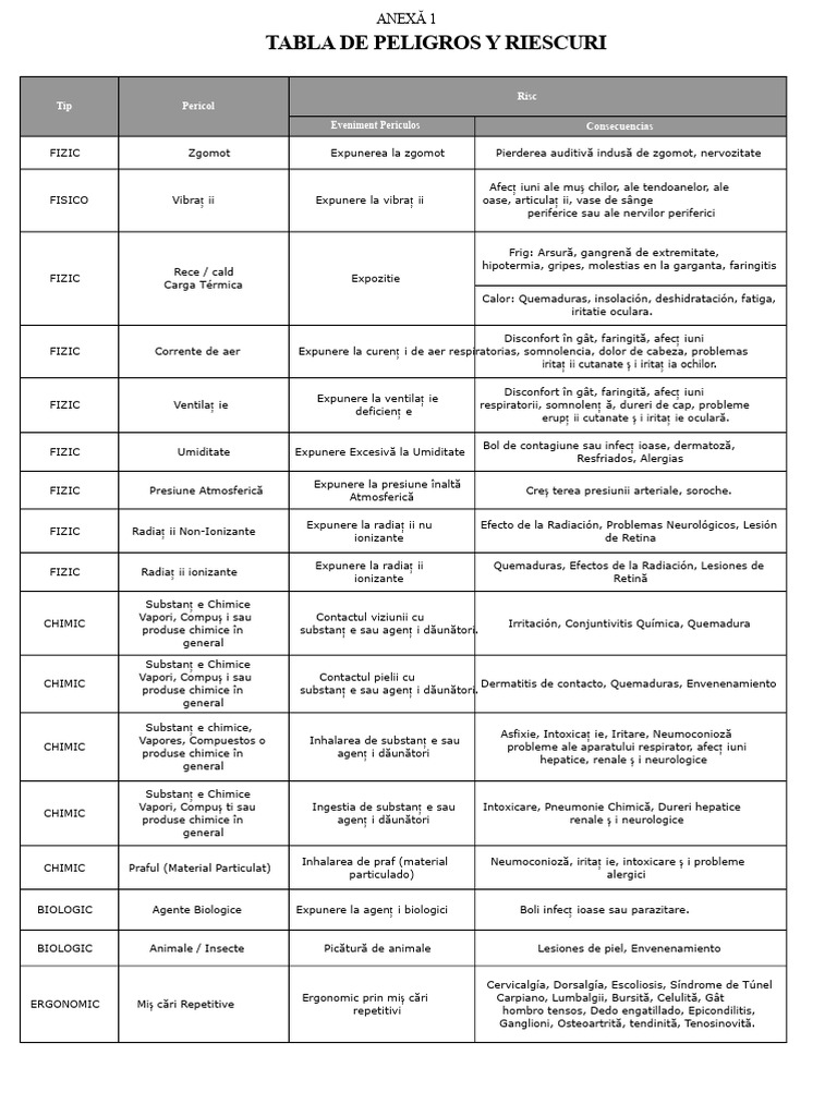 Anex 1. Tabel Cu Pericole Și Riscuri | PDF