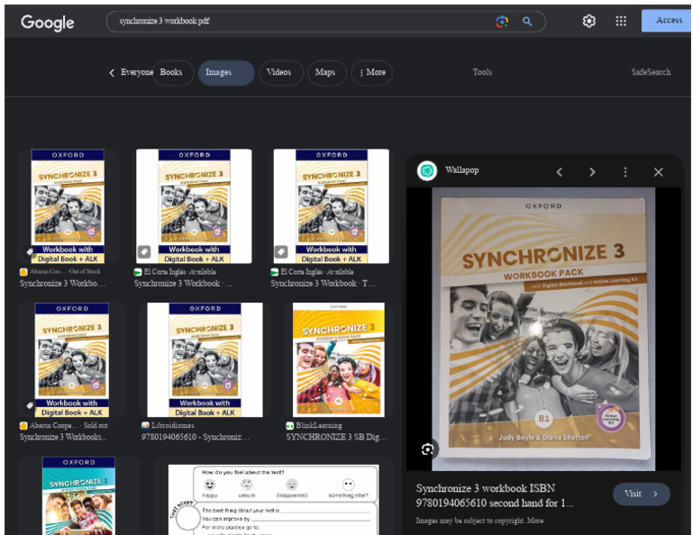 Synchronize 3 Workbook PDF Access | PDF