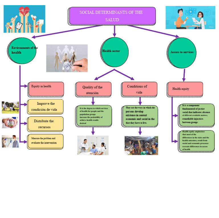 Social Determinants of Health | PDF | Health Equity