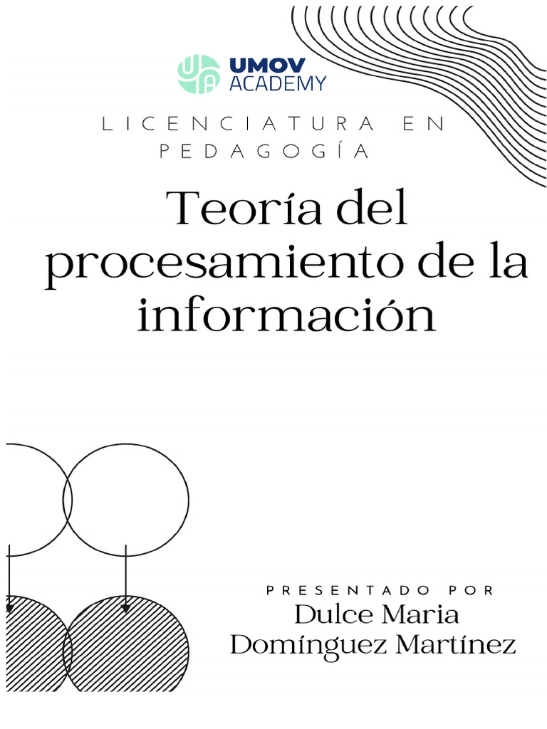 Information Processing Theory Overview | PDF | Perception | Mind