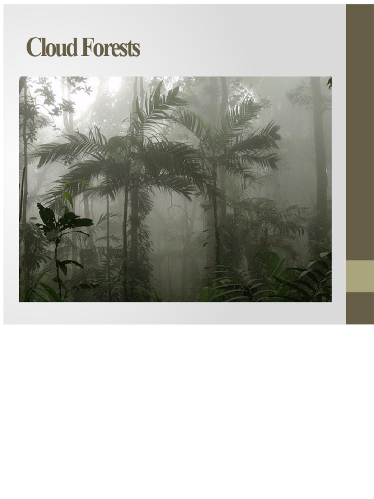 Understanding Cloud Forest Ecosystems | PDF | Forests | Cloud